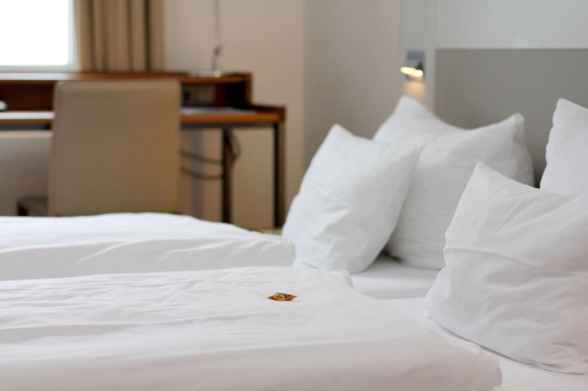 Qube Hotel Bergheim 海德堡 外观 照片